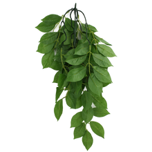Load image into Gallery viewer, Komodo Climbing Plant Green Leaf