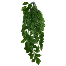 Load image into Gallery viewer, Komodo Climbing Plant Green Leaf