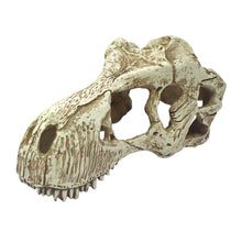 Load image into Gallery viewer, Komodo T-Rex Skull