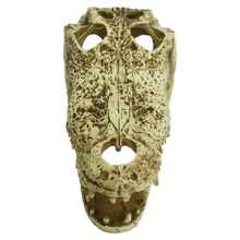 Load image into Gallery viewer, Komodo Alligator Skull