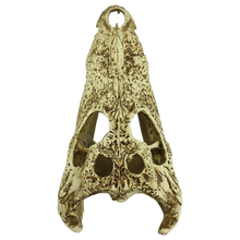 Load image into Gallery viewer, Komodo Alligator Skull