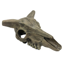 Load image into Gallery viewer, Komodo Deer Skull