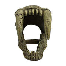 Load image into Gallery viewer, Komodo Saber Tooth Skull