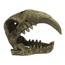 Load image into Gallery viewer, Komodo Saber Tooth Skull