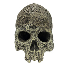 Load image into Gallery viewer, Komodo Human Skull Textured