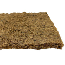 Load image into Gallery viewer, Komodo Coconut Coir Fibre Pad
