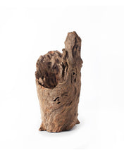 Load image into Gallery viewer, Galapagos Hollow Log Hide 6-8"
