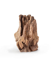 Load image into Gallery viewer, Galapagos Hollow Log Hide 6-8"