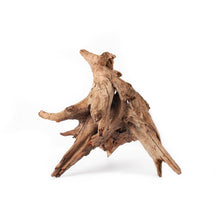 Load image into Gallery viewer, Galapagos Hollow Tree Root 12-16"