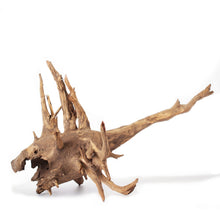 Load image into Gallery viewer, Galapagos Hollow Tree Root 12-16"