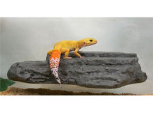 Load image into Gallery viewer, MagNaturals Rock Ledge (Granite Colour)