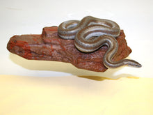 Load image into Gallery viewer, MagNaturals Rock Ledge (Mojave Colour)