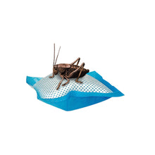 Load image into Gallery viewer, Zilla Cricket Water Pillows 6-Pack