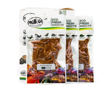 Load image into Gallery viewer, ProBugs Eco-Fresh Mealworms