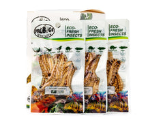 Load image into Gallery viewer, ProBugs Eco-Fresh Superworms