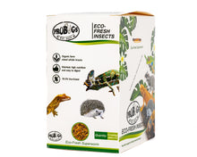 Load image into Gallery viewer, ProBugs Eco-Fresh Superworms