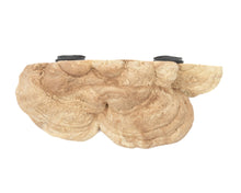 Load image into Gallery viewer, C3 Magnetic Mushroom Ledge