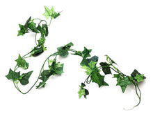 Load image into Gallery viewer, ReptiZoo Boston Ivy Vine 75"