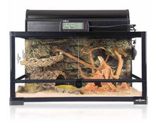 Load image into Gallery viewer, ReptiZoo Straw Weaved Hammock