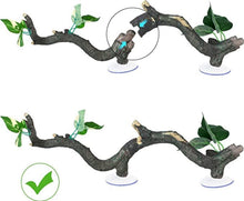 Load image into Gallery viewer, ReptiZoo 3-Piece Reptile Climbing Branch