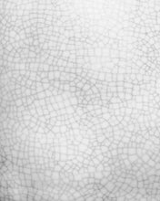 Load image into Gallery viewer, Galapagos Ceramic Egg Dish