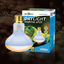 Load image into Gallery viewer, ReptiZoo Daylight Basking Spot