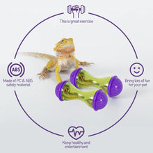 Load image into Gallery viewer, ReptiZoo Reptile Enrichment Treat Ball