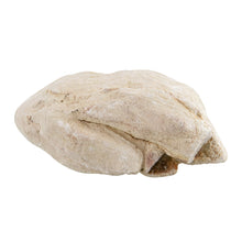 Load image into Gallery viewer, AquaGlobe Elephant Skin Rock