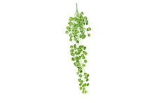 Load image into Gallery viewer, ReptiZoo Grape Leaves Vine 36"