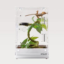 Load image into Gallery viewer, ReptiZoo Acrylic Knock-Down Terrarium