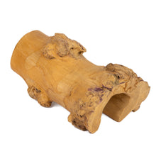 Load image into Gallery viewer, Aquaglobe Coffeewood Hideout