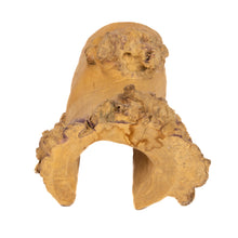 Load image into Gallery viewer, Aquaglobe Coffeewood Hideout