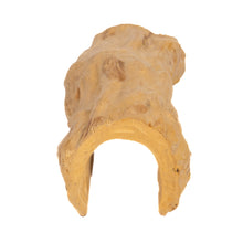 Load image into Gallery viewer, Aquaglobe Coffeewood Hideout