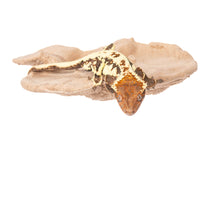 Load image into Gallery viewer, C3 Magnetic Mushroom Ledge