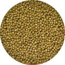 Load image into Gallery viewer, Zoo Med Aquatic Turtle Food Growth Formula, 30oz.