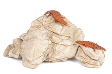 Load image into Gallery viewer, AquaGlobe Elephant Skin Rock