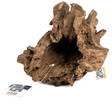 Load image into Gallery viewer, AquaGlobe Stumpwood