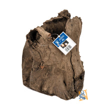 Load image into Gallery viewer, AquaGlobe Stumpwood