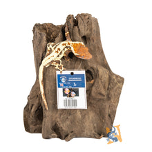 Load image into Gallery viewer, AquaGlobe Stumpwood