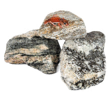 Load image into Gallery viewer, Tarzan Rock