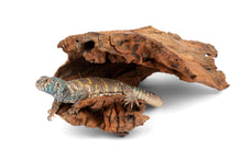 Load image into Gallery viewer, NewCal Viking Wood