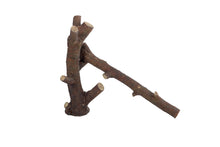 Load image into Gallery viewer, ReptiZoo Build-N-Bask Modular Branches