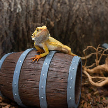 Load image into Gallery viewer, ReptiZoo Magnetic Connectable Barrel Log & Tunnel Hide (2-Pack)