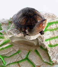 Load image into Gallery viewer, ReptiZoo Shale Step Ledge Habitat Decor