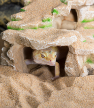 Load image into Gallery viewer, ReptiZoo Shale Step Ledge Habitat Decor