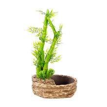 Load image into Gallery viewer, ReptiZoo 2-In-1 Height Adjustable Bamboo Planter Dripper