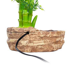 Load image into Gallery viewer, ReptiZoo 2-In-1 Height Adjustable Bamboo Planter Dripper