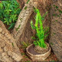 Load image into Gallery viewer, ReptiZoo 2-In-1 Height Adjustable Bamboo Planter Dripper