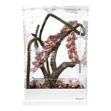 Load image into Gallery viewer, ReptiZoo Acrylic Knock-Down Terrarium