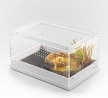 Load image into Gallery viewer, ReptiZoo Acrylic Knock-Down Terrarium